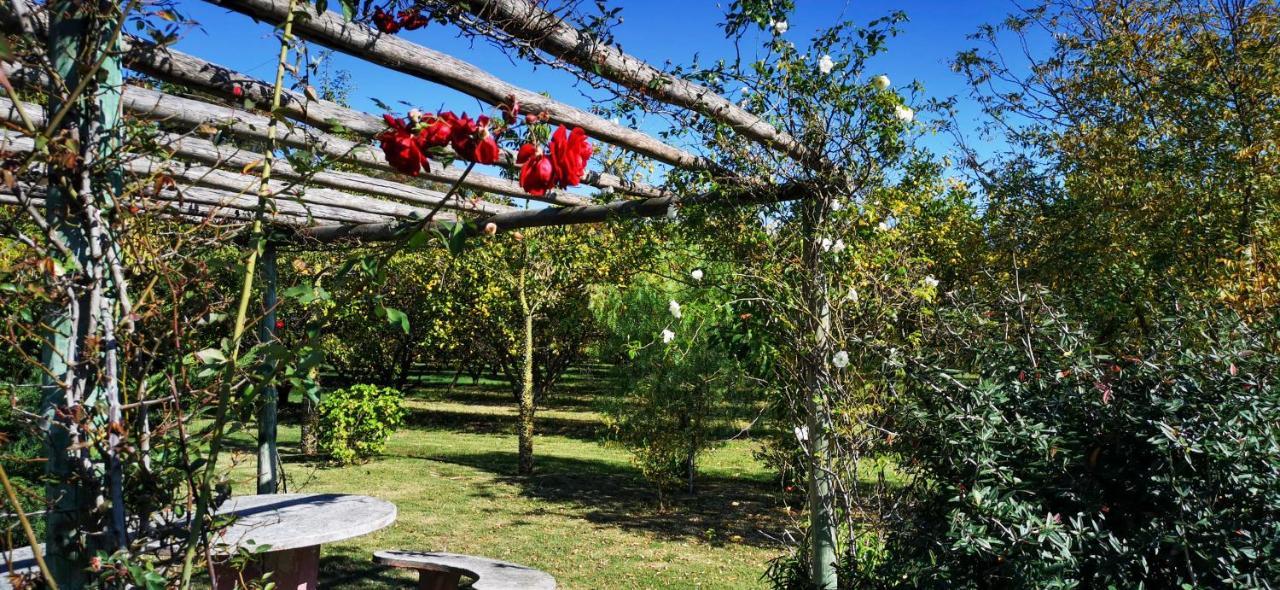 La Casa De Los Limoneros Колонія-дель-Сакраменто Екстер'єр фото