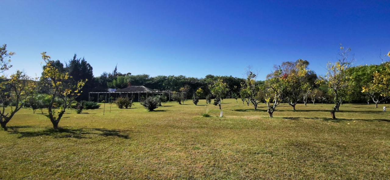 La Casa De Los Limoneros Колонія-дель-Сакраменто Екстер'єр фото